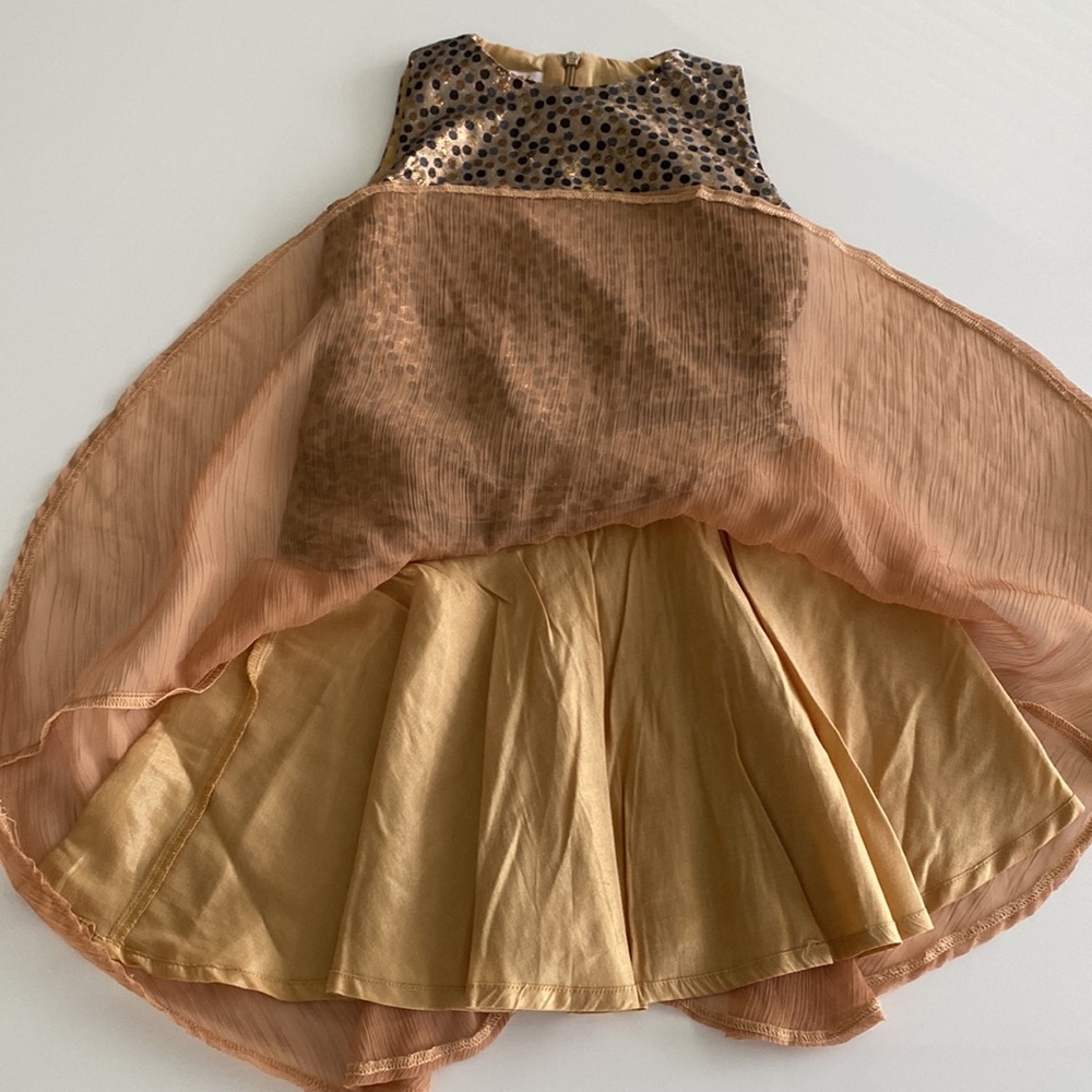 Sierra Julian Girls Dress - Picture 5 of 11